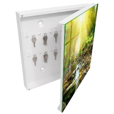 Caja de llaves Arroyo forestal