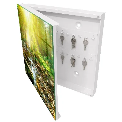 Caja de llaves Arroyo forestal