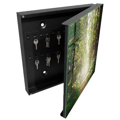 Caja de llaves Paisaje forestal