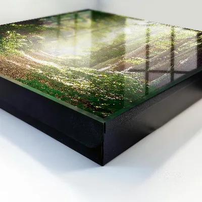 Caja de llaves Paisaje forestal
