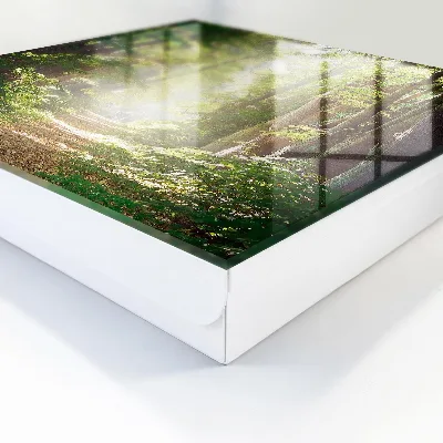 Caja de llaves Paisaje forestal