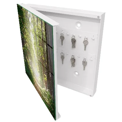 Caja de llaves Paisaje forestal