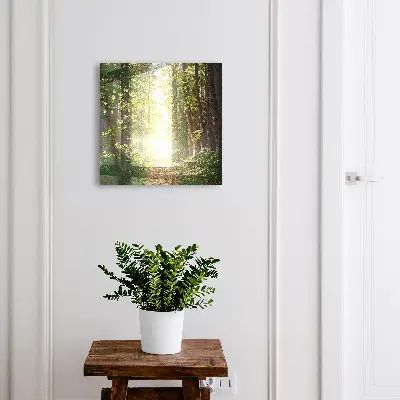 Caja de llaves Paisaje forestal