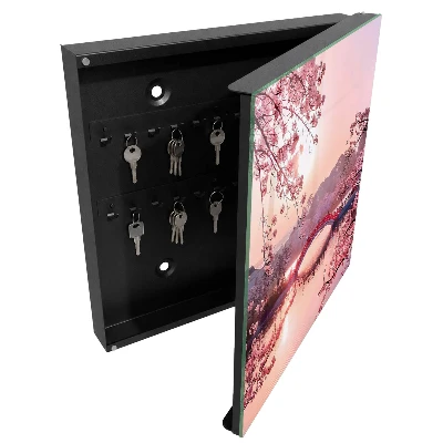 Armario de llaves Puente de primavera