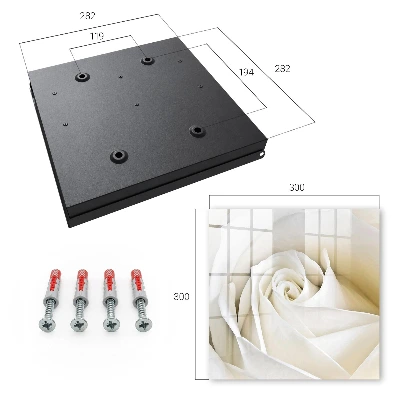 Armario llaves de pared Rosa blanca