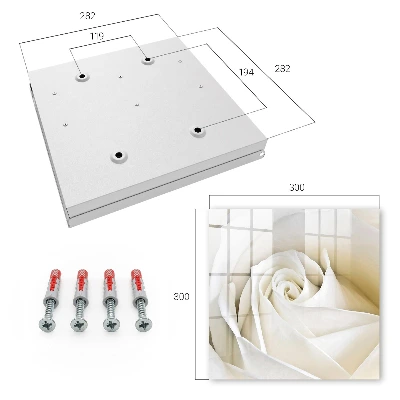 Armario llaves de pared Rosa blanca