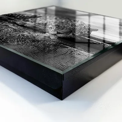 Caja de llaves Jaguares en el agua