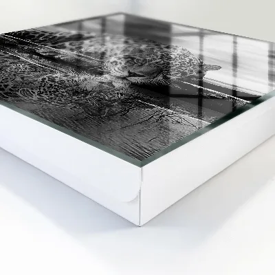 Caja de llaves Jaguares en el agua