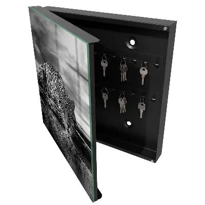 Caja de llaves Jaguares en el agua