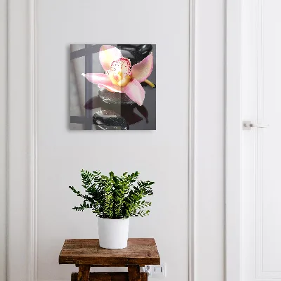 Armario llaves de pared Piedras de orquídea