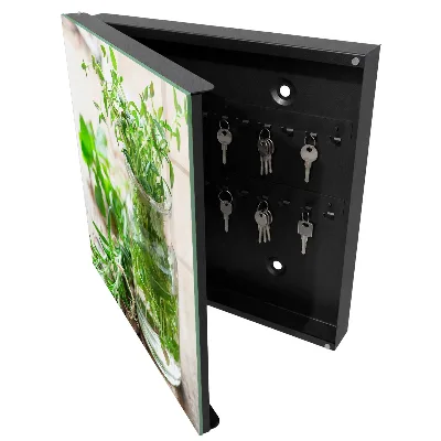 Caja de llaves Hierbas verdes