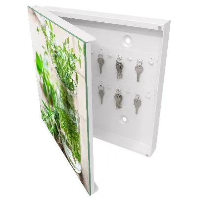 Caja de llaves Hierbas verdes