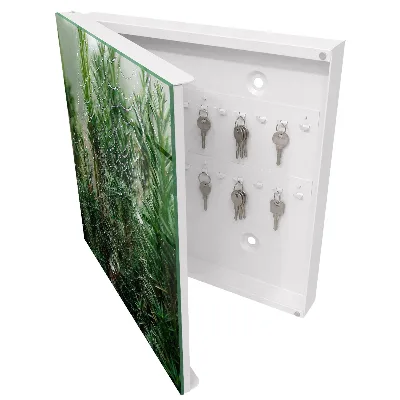 Armario llaves de pared Telaraña en el bosque