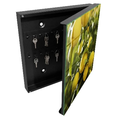 Armario llaves de pared Frescura jugosa