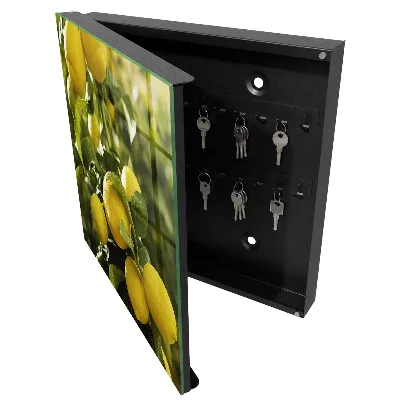 Armario llaves de pared Frescura jugosa