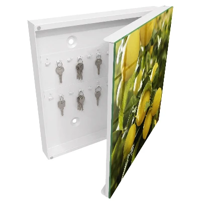 Armario llaves de pared Frescura jugosa