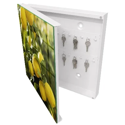 Armario llaves de pared Frescura jugosa