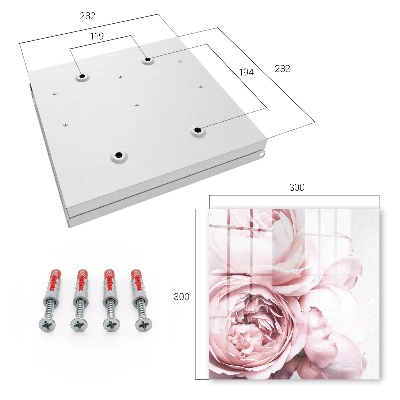 Armario llaves de pared Belleza rosa