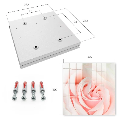 Armario de llaves Rosa romántica