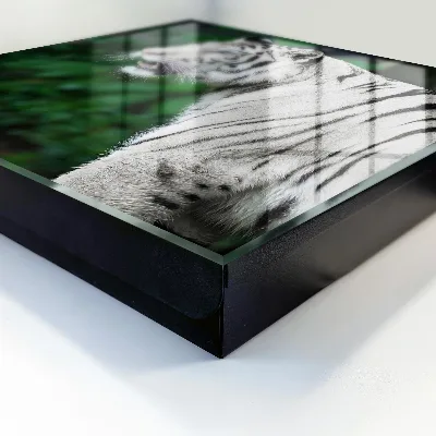 Caja de llaves Tigre blanco