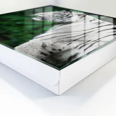 Caja de llaves Tigre blanco