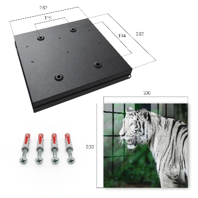 Caja de llaves Tigre blanco