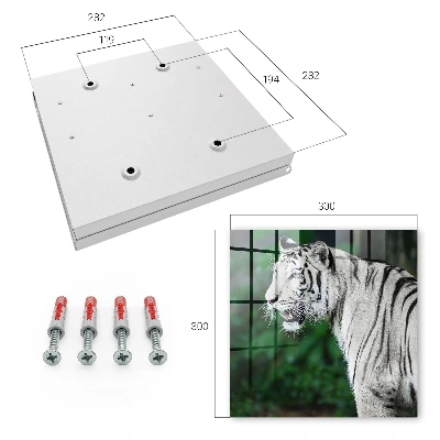 Caja de llaves Tigre blanco