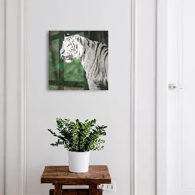 Caja de llaves Tigre blanco