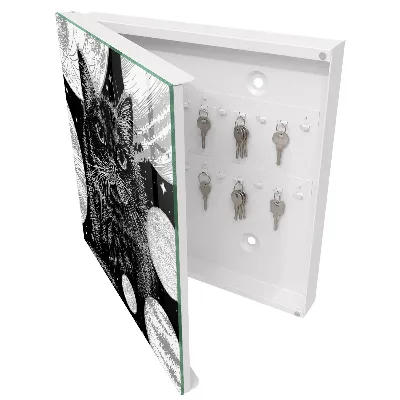 Caja de llaves Gato espacial