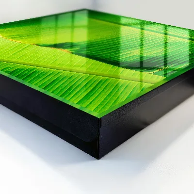 Caja de llaves Brillo de las hojas