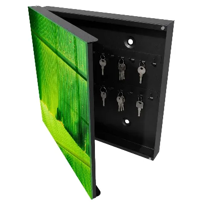 Caja de llaves Brillo de las hojas