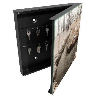 Caja de llaves Río de invierno