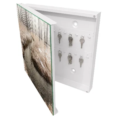 Caja de llaves Río de invierno