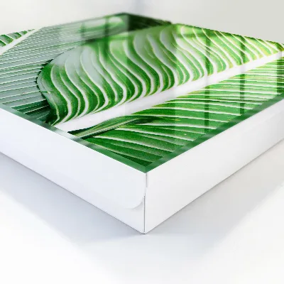 Caja de llaves El verdor de la naturaleza