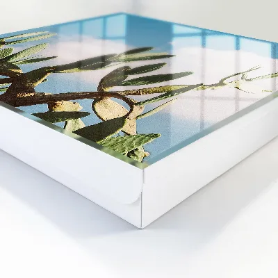 Caja de llaves Cactus verde