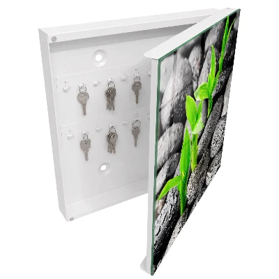 Armario llaves de pared Naturaleza verde