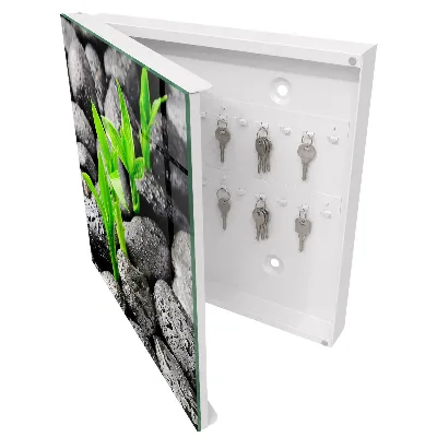 Armario llaves de pared Naturaleza verde