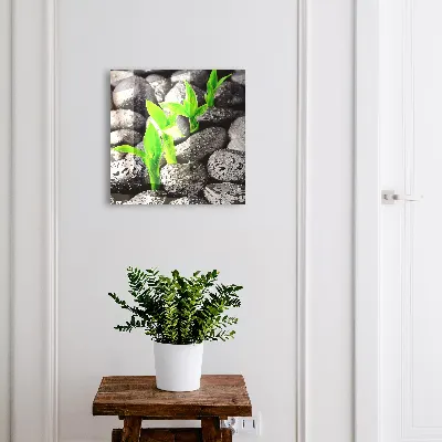 Armario llaves de pared Naturaleza verde