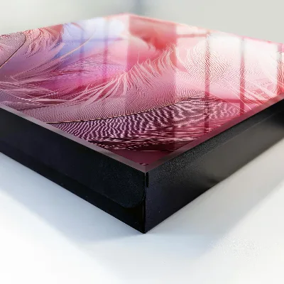 Caja de llaves Hermosas plumas rosas
