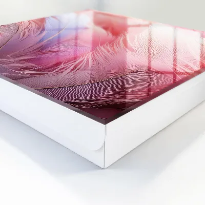 Caja de llaves Hermosas plumas rosas