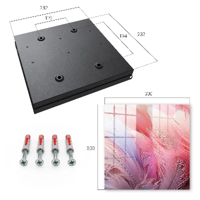 Caja de llaves Hermosas plumas rosas