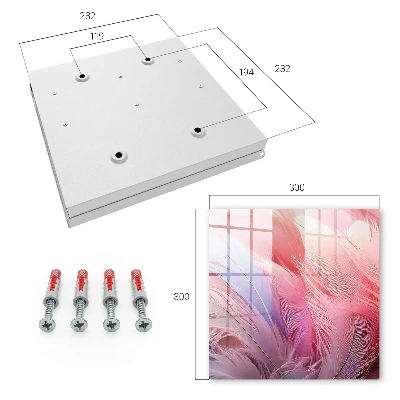 Caja de llaves Hermosas plumas rosas