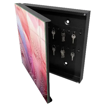 Caja de llaves Hermosas plumas rosas