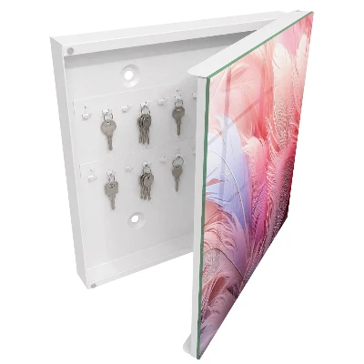 Caja de llaves Hermosas plumas rosas