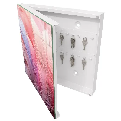 Caja de llaves Hermosas plumas rosas