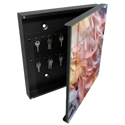 Caja de llaves Plumas en tonos pastel