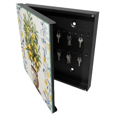 Caja de llaves Limonero