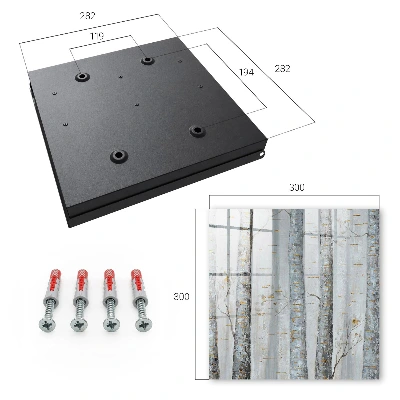 Armario llaves de pared Naturaleza de abedules