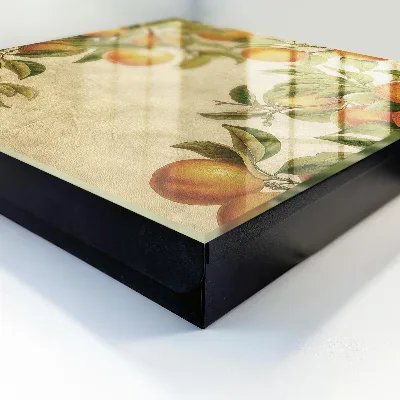Caja de llaves Naranjas de la naturaleza