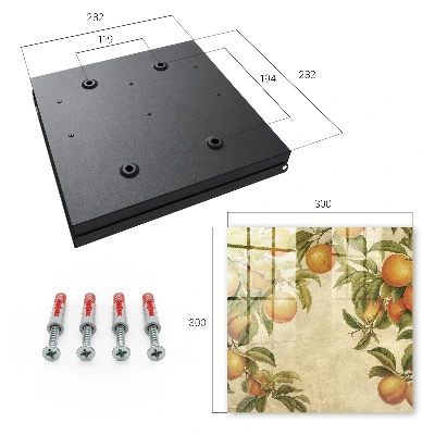 Caja de llaves Naranjas de la naturaleza